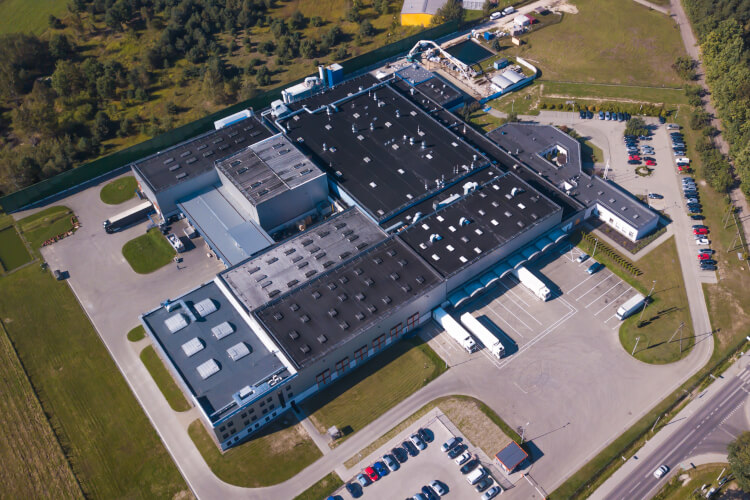 Aerial Drone Surveys